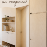 Espace de rangement moderne et organisé dans un salon chaleureux, intégrant des étagères et des tiroirs.