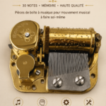 Boîte à musique DIY artisanale avec mécanisme Sankyo visible