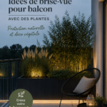 Un balcon aménagé avec des plantes offrant une ambiance chaleureuse et intime.