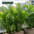 Balcon décoré avec des plantes brise-vue vertes et luxuriantes, offrant un espace intime.