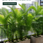 Balcon décoré avec des plantes brise-vue vertes et luxuriantes, offrant un espace intime.