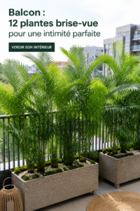 Balcon décoré avec des plantes brise-vue vertes et luxuriantes, offrant un espace intime.