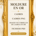 Décoration intérieure avec des cadres dorés élégants et modernes.