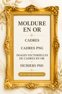 Décoration intérieure avec des cadres dorés élégants et modernes.