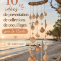 Idées de décoration intérieure avec des coquillages exposés de manière créative