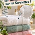 Serviettes de table élégantes avec bandes de tissu assorties
