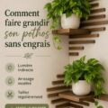 Un pothos luxuriant dans un pot, symbole de croissance naturelle