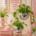 Un aménagement intérieur lumineux avec des plantes vertes et des accessoires naturels.