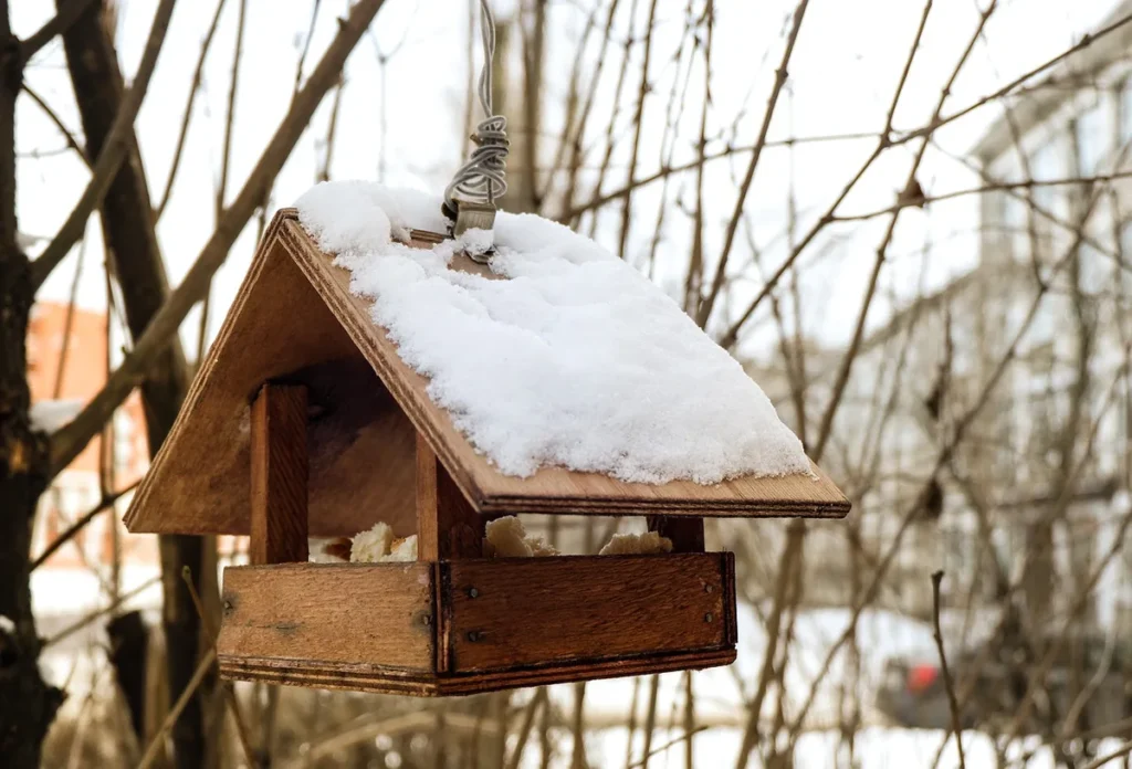 Givrelo matin soin des plantes et mobilier au jardin