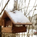 Givrelo matin soin des plantes et mobilier au jardin